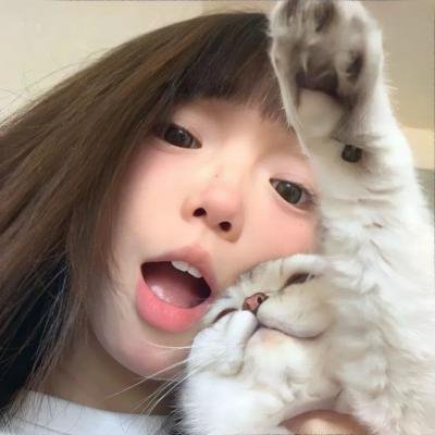 麻烦专家